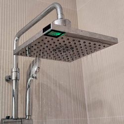 Overhead Shower With Lcd Thermometer